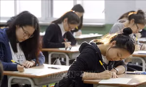 Nhiều giáo viên trẻ ở Hàn Quốc cân nhắc nghỉ việc vì lương thấp