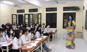 Thái Bình chú trọng phát triển Đảng trong đoàn viên, thanh niên