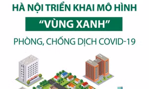 Hà Nội triển khai mô hình 'vùng xanh' phòng chống dịch COVID-19