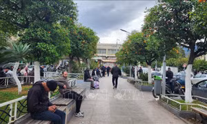 'Phố cam' độc lạ tại Algeria 