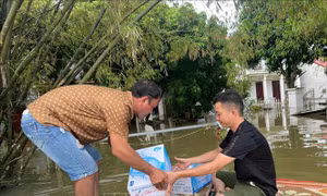 Dồn lực hỗ trợ người dân vùng rốn lũ Nho Quan