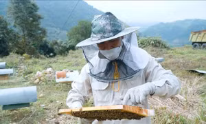 Hướng đi tiềm năng cho đồng bào vùng cao