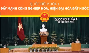 Quốc hội khóa X: Đẩy mạnh công nghiệp hóa, hiện đại hóa đất nước