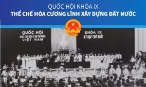 Quốc hội khóa IX: Thể chế hóa Cương lĩnh xây dựng đất nước