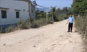 Bất cập hoàn trả đường dân sinh trong thi công cao tốc Quảng Ngãi - Hoài Nhơn