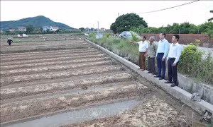 Bắc Giang xây dựng thành công nông thôn mới nhờ thực hiện tốt quy chế dân chủ ở cơ sở
