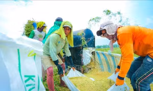 Indonesia triển khai đồng bộ các giải pháp về an ninh lương thực