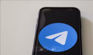 Brazil tạm đình chỉ ứng dụng Telegram
