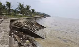 Sớm công bố tình huống khẩn cấp sạt lở bờ kè xã Hoằng Tiến, tỉnh Thanh Hóa