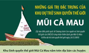 Những giá trị đặc trưng của Khu dự trữ sinh quyển thế giới Mũi Cà Mau