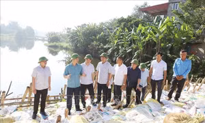 Bắc Ninh tập trung khắc phục các sự cố nghiêm trọng trên các tuyến đê