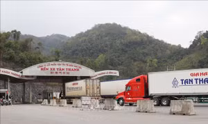 Xây dựng quan hệ hữu nghị, hợp tác cùng phát triển