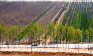 Vạn Lý Trường Thành Xanh của Trung Quốc được vinh danh trên Nature