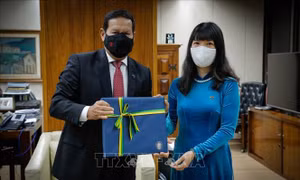 Đại sứ Việt Nam trình ủy nhiệm thư tới Bộ trưởng Ngoại giao Suriname