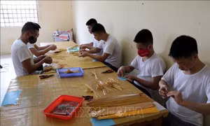 Kích hoạt cơ chế phản vệ trước ma túy - Bài cuối: Cả xã hội cùng hỗ trợ