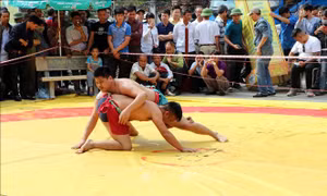 75 VĐV tham gia Giải vô địch vật dân tộc mở rộng tỉnh Hải Dương năm 2019