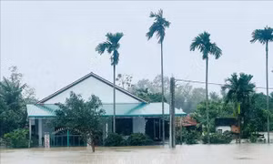 Quảng Ngãi di dời người dân trong đêm do mưa lớn, nước sông dâng cao