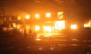 Lửa thiêu rụi công ty gỗ nội thất ở thị xã Tân Uyên (Bình Dương)