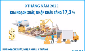 Kim ngạch xuất, nhập khẩu tăng 17,3%