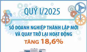 Quý I/2025, số doanh nghiệp thành lập mới và quay trở lại hoạt động tăng 18,6%
