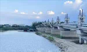 Kiểm tra, xử lý nghiêm khai thác cát trái phép trên sông Trà Khúc