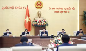 Điều chỉnh Chương trình xây dựng luật, pháp lệnh năm 2022