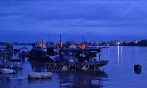 Quảng Ninh tập trung lực lượng khẩn trương khắc phục hậu quả bão số 1 trong đêm