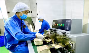 Tận dụng hiệu quả UKVFTA để đẩy mạnh xuất khẩu sang Anh