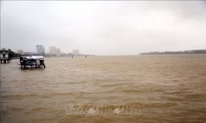 Cảnh báo lũ trên các sông từ Quảng Trị đến Quảng Ngãi