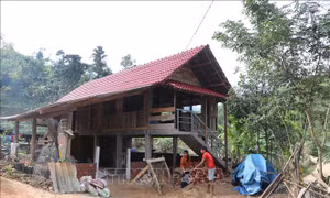 Xuân ấm trong những ngôi nhà mới