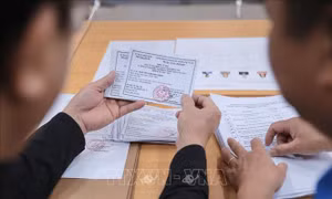 Phát Thẻ cử tri trước ngày bầu cử: Bảo đảm mọi công dân đủ điều kiện được tham gia bỏ phiếu