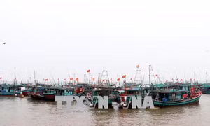 Bộ trưởng Nguyễn Xuân Cường kiểm tra công tác phòng, chống bão số 4 tại Nam Định