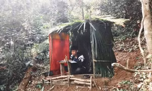 Xúc động học trò nghèo vùng cao 'vớt' sóng học trực tuyến mùa dịch COVID-19 