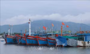 Thứ trưởng Nguyễn Hoàng Hiệp: Không chủ quan trong ứng phó bão số 7