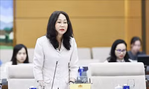 Phiên họp thứ 4, Ủy ban Thường vụ Quốc hội: Vai trò của xuất bản trong phát triển công nghiệp văn hóa