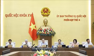 UBTV Quốc hội cho ý kiến về dự án Luật sửa đổi, bổ sung một số điều của Luật Xuất bản