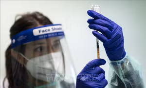 Nghiên cứu sâu về hiệu quả của vaccine ngừa COVID-19 ở người suy giảm miễn dịch