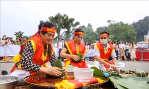 Sôi nổi hội thi gói, nấu bánh chưng và giã bánh giầy tỉnh Phú Thọ lần thứ X