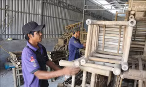 Chuyển đổi hộ kinh doanh thành doanh nghiệp – chính sách phải sát thực hơn
