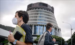 New Zealand đối mặt nguy cơ bùng phát làn sóng dịch COVID-19 mới