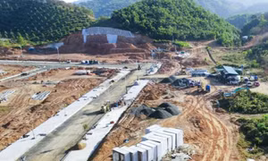 Cấp bách giải phóng mặt bằng diện tích đất có rừng thuộc cao tốc Tân Phú - Bảo Lộc
