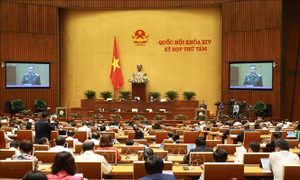 Kỳ họp thứ 8, Quốc hội khóa XIV: Thông cáo báo chí số 11