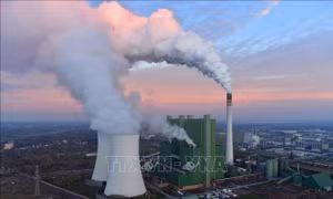 Tầm quan trọng của việc loại bỏ CO2 trong thực hiện các mục tiêu về khí hậu