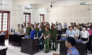 Tòa phúc thẩm tuyên án 15 tháng tù đối với bà Lê Thị Dung