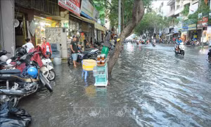 Đảm bảo an toàn công trình phòng, chống triều cường trong dịp Tết 