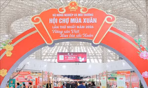Tham tán thương mại Việt Nam tại Hàn Quốc đề xuất kết hợp giải pháp công nghệ 
