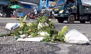 Đường Hồ Chí Minh đoạn Năm Căn - Đất Mũi bị xuống cấp nghiêm trọng