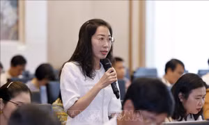 Bảo đảm tính đồng bộ về không gian, hệ thống hạ tầng trong quy hoạch đô thị