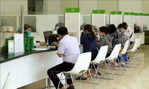 Vốn tín dụng 'bắt nhịp' xây dựng nông thôn mới Lào Cai