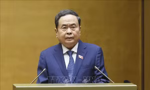 Phối hợp giám sát việc thực hiện điều ước quốc tế, thỏa thuận quốc tế